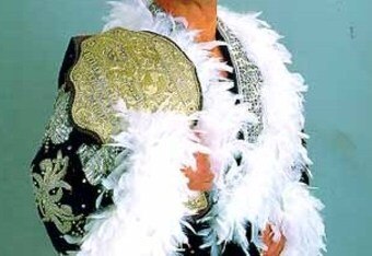 Ric_flair_crop_340x234