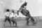 Broncbusting5_small