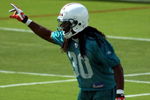 DAVIE, FL - MAY 02:  Rookie cornerback Chris Clemons #30 of the Miami Dolphins plays during mini camp on May 2, 2009 at the Miami Dolphins Training facility in Davie, Florida.  (Photo by Marc Serota/Getty Images)