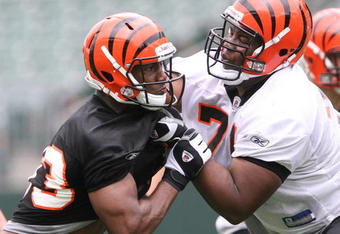 CINCINNATI, OH - MAY 1:  Cincinnati Bengals first round draft pick Andre Smith #71, right, battles withthird round draft pick Michael Johnson #93 during rookie minicamp at Paul Brown Stadium on May 1, 2009 in Cincinnati, Ohio.  (Photo by Mark Lyons/Getty Images)