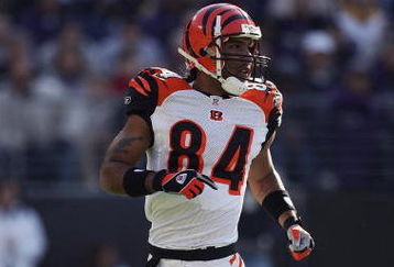 BALTIMORE - NOVEMBER 5:  T.J. Houshmanzadeh #84 of the Cincinnati Bengals runs during the game against the Baltimore Ravens at M&T Bank Stadium on November 5, 2006 in Baltimore, Maryland.  The Ravens defeated the Bengals 26-20. (Photo by Harry How/Getty Images)