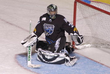 BRIDGEPORT, CT - November 19: American professional hockey player Brian Eklund of the Springfield Falcons on the ice during a game against the Bridgeport Sound Tigers at Bridgeport's Arena at Harbor Yard on November 19, 2005 in Bridgeport, Connecticut. (Photo by Bruce Bennett/Getty Images)