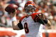CINCINNATI - SEPTEMBER 14:  Carson Palmer #9 of the Cincinnati Bengals throws the ball against the Tennessee Titans during the first quarter of their NFL game September 14, 2008 at Paul Brown Stadium in Cincinnati, Ohio.  (Photo by Matt Sullivan/Getty Images)