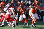 CINCINNATI - DECEMBER 28: Cedric Benson #32 of the Cincinnati Bengals carries the ball during the NFL game against the Kansas City Chiefs on December 28, 2008 at Paul Brown Stadium in Cincinnati, Ohio.  (Photo by Andy Lyons/Getty Images)