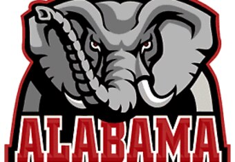 Bama_crop_340x234
