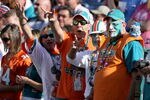 DENVER - NOVEMBER 02:  Fans of the Miami Dolphins turn out to support their team as they face the Denver Broncos during NFL action at Invesco Field at Mile High on November 2, 2008 in Denver, Colorado.  (Photo by Doug Pensinger/Getty Images)