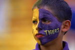 17 Jun 2000:  A close up of a fan of the Louisiana State Tigers as he looks on during the College World Series Game against the Stanford Cardinal at Rosenblatt Stadium in Omaha, Nebraska.  The Tigers defeated the Cardinal 6-5.Mandatory Credit: Andy Lyons  /Allsport