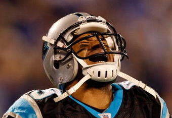 CHARLOTTE, NC - JANUARY 10:  Steve Smith #89 of the Carolina Panthers reacts to an interception during the game against the Arizona Cardinals during the NFC Divisional Playoff Game on January 10, 2009 at Bank of America Stadium in Charlotte, North Carolina.  (Photo by Streeter Lecka/Getty Images)
