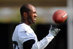 JACKSONVILLE, FL - MAY 1:  Wide receiver Torry Holt #81 of the Jacksonville Jaguars watches play during a team mini-camp on May 1, 2009 on the practice fields at Jacksonville Municipal Stadium in Jacksonville, Florida.  (Photo by Al Messerschmidt/Getty Images)