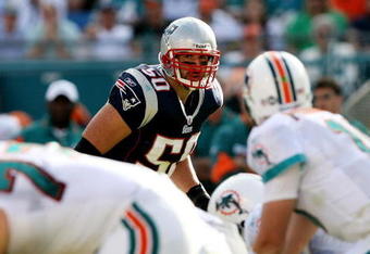 MIAMI - NOVEMBER 23:  Linebacker Mike Vrabel #50 of the New England Patriots looks in as quarterback Chad Pennington #10 of the Miami Dolphins prepares to take the snap at Dolphin Stadium on November 23, 2008 in Miami, Florida. The Patriots defeated the Dolphins 48-28.  (Photo by Doug Benc/Getty Images)