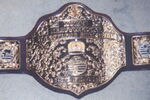 Wcwbelt2_crop_150x100
