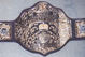 Wcwbelt2_medium