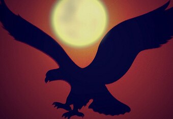 3162459582_d0f5b04604_crop_340x234