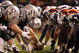 OAKLAND, CA - SEPTEMBER 8:  The Denver Broncos defense line up against the Oakland Raiders offense during the NFL game against the Oakland Raiders on September 8, 2008 at McAfee Coliseum in Oakland, California. The Broncos defeated the Raiders 41-14. (Photo by Jed Jacobsohn/Getty Images)