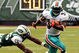 Ricky_williams_medium