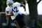 ALAMEDA, CA - MAY 08:  Darrius Heyward-Bey #12 of the Oakland Raiders runs drills during the Raiders minicamp at the team's permanent training facility on May 8, 2009 in Alameda, California.  (Photo by Ezra Shaw/Getty Images)