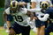 EARTH CITY, MO - MAY 2: Steven Jackson #39 of the St. Louis Rams participates in drills during a mini camp on May 2, 2009 at the Russell Training Center in Earth City, Missouri.  (Dilip Vishwanat/Getty Images)