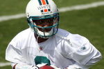 DAVIE, FL - MAY 02:  Rookie quarterback Pat White  #6 of the Miami Dolphins drops back to pass during mini camp on May 2, 2009 at the Miami Dolphins Training facility in Davie, Florida.  (Photo by Marc Serota/Getty Images)