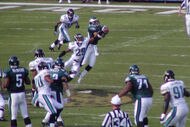Eagles_crop_190x127