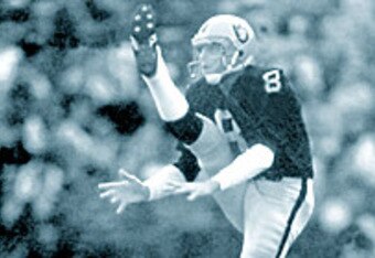 Ray_guy_punt_crop_340x234