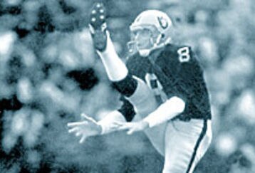 Ray_guy_punt_feature