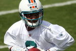 DAVIE, FL - MAY 02:  Rookie quarterback Pat White  #6 of the Miami Dolphins drops back to pass during mini camp on May 2, 2009 at the Miami Dolphins Training facility in Davie, Florida.  (Photo by Marc Serota/Getty Images)