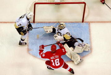 DETROIT - MAY 30:  Kirk Maltby #18 of the Detroit Red Wings celebrates the goal of teammate Justin Abdelkader #8 in the third period against Marc-Andre Fleury #29 of the Pittsburgh Penguins during Game 1 of the 2009 NHL Stanley Cup Finals at Joe Louis Arena on May 30, 2009 in Detroit, Michigan.  (Photo by Jim McIsaac/Getty Images)