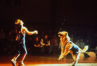Air_bud_1997_685x385_crop_340x234