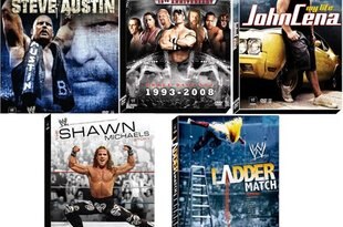 Wwebillboarddvds_crop_310x205