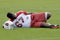 TEMPE, AZ - MAY 1 : Herman Johnson #67 of the Arizona Cardinals stretches during a team minicamp at the team training facility on May 1, 2009 in Tempe, Arizona.  (Photo by Jonathan Willey/Getty Images)