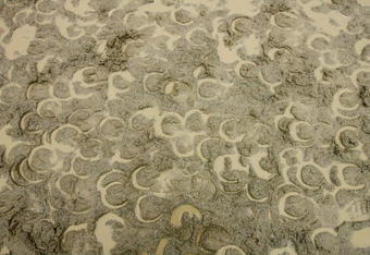 ELMONT, NY - JUNE 04:  Muddy horse prints mark the track left by horses training for the upcoming Belmont Stakes on June 4, 2009 in Elmont, New York.  (Photo by Al Bello/Getty Images)