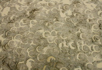 ELMONT, NY - JUNE 04:  Muddy horse prints mark the track left by horses training for the upcoming Belmont Stakes on June 4, 2009 in Elmont, New York.  (Photo by Al Bello/Getty Images)
