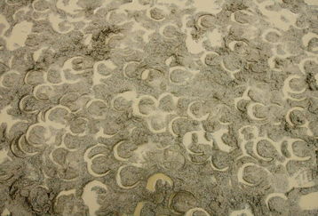 ELMONT, NY - JUNE 04:  Muddy horse prints mark the track left by horses training for the upcoming Belmont Stakes on June 4, 2009 in Elmont, New York.  (Photo by Al Bello/Getty Images)