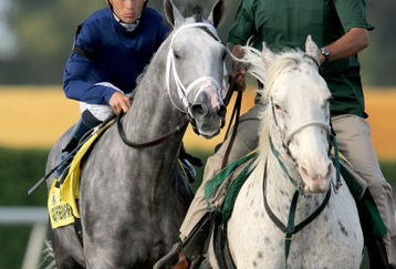 KEY BISCAYNE, FL - MARCH 28:  Dunkirk ridden by jockey Garrett Gomes is led to the starters gate before racing in the Florida Derby at Gulfstream Park on March 28, 2009 in Hallandale Beach, Florida.  (Photo by Matthew Stockman/Getty Images)