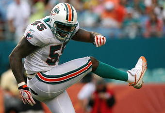 MIAMI - OCTOBER 05:  Linebacker Joey Porter #55 of the Miami Dolphins celebrates after making a stop behind the line of scrimmage while taking on the San Diego Chargers at Dolphin Stadium on October 5, 2008 in Miami, Florida.  (Photo by Doug Benc/Getty Images)