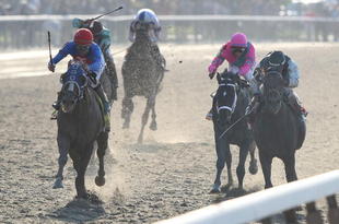 ELMONT, NY - JUNE 06:  Summer Bird riden by Kent J. Desormeaux (L) passes Mine That Bird riden by Calvin Borel takes to take the lead en route to winning the 141st Running of the Belmont Stakes at Belmont Racetrack on June 6, 2009 in Elmont, New York.  (Photo by Nick Laham/Getty Images)