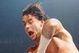 Cm-punk-flies_medium