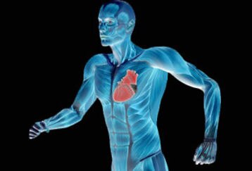 Running-man-heart_feature