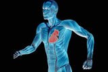 Running-man-heart_more_feature