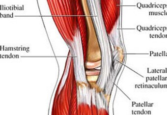 Knee_crop_340x234