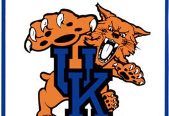 Wildcat_fans_crop_340x234