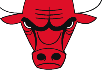 Chicago_bulls_crop_340x234