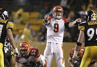 2009nflanorth_btb_main_crop_340x234