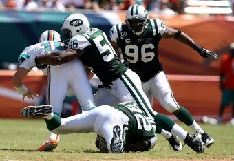 Jets_dolphins_crop_340x234