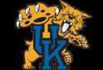 Black_wildcat_crop_340x234