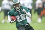 PHILADELPHIA - MAY 1: Running back LeSean McCoy #29 of the Philadelphia Eagles runs the ball during minicamp practice at the NovaCare Complex on May 1, 2009 in Philadelphia, Pennsylvania. (Photo by Hunter Martin/Getty Images)