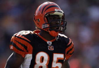 CINCINNATI - SEPTEMBER 28:  Chad Johnson #85 of the Cincinnati Bengals looks on during the game against the Cleveland Browns on September 28, 2008 at Paul Brown Stadium in Cincinnati, Ohio. (Photo by Andy Lyons/Getty Images)