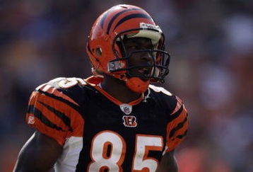 CINCINNATI - SEPTEMBER 28:  Chad Johnson #85 of the Cincinnati Bengals looks on during the game against the Cleveland Browns on September 28, 2008 at Paul Brown Stadium in Cincinnati, Ohio. (Photo by Andy Lyons/Getty Images)