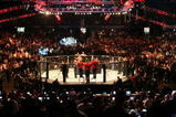 CHICAGO- OCTOBER 25:  People attend the UFC 90 at UFC's Ultimate Fight Night at Allstate Arena on October 25, 2008 in Chicago, Illinois. (Photo by Tasos Katopodis/Getty Images)