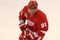 DETROIT - JUNE 06:  Marian Hossa #81 of the Detroit Red Wings against the Pittsburgh Penguins during Game Five of the 2009 NHL Stanley Cup Finals at Joe Louis Arena on June 6, 2009 in Detroit, Michigan.  (Photo by Claus Andersen/Getty Images)